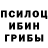 Псилоцибиновые грибы Psilocybine cubensis LAKSIK