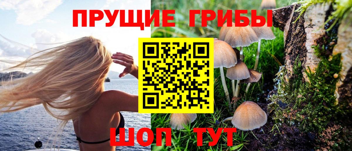 купить наркоту  Вход с VPN  Урай  Псилоцибиновые грибы Magic Shrooms 