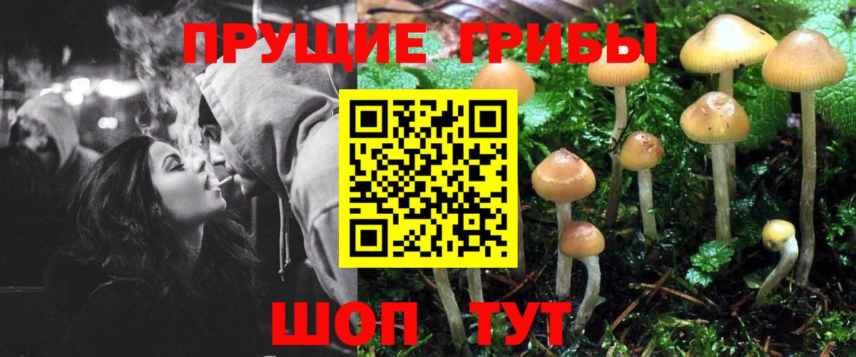 Галлюциногенные грибы ЛСД Урай