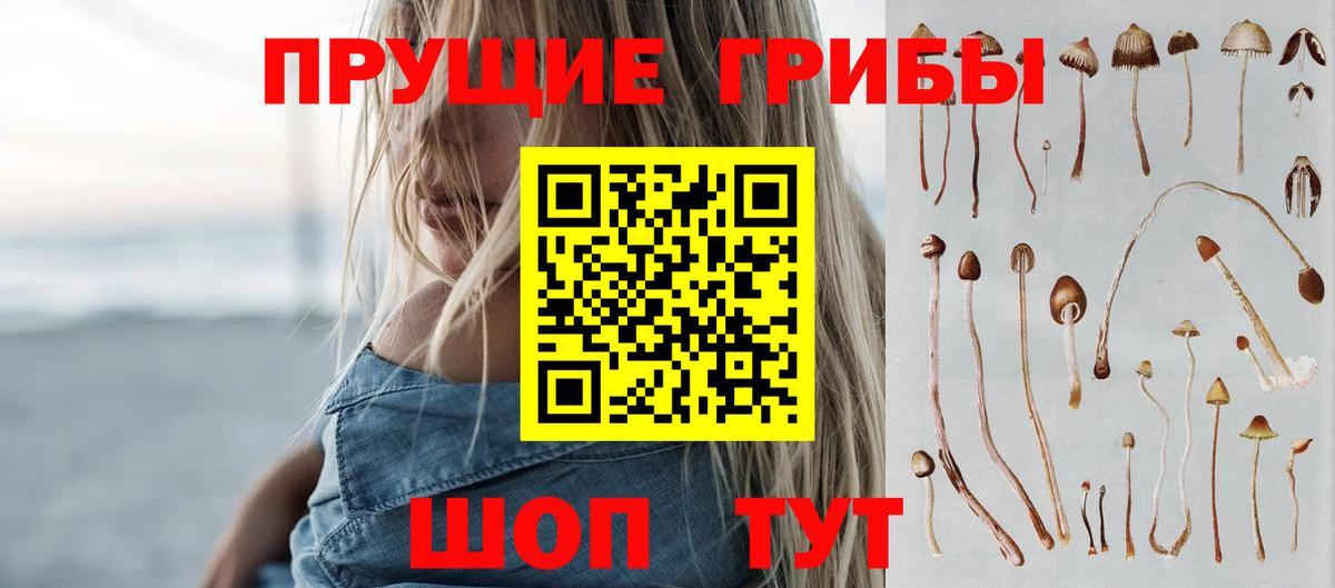 Псилоцибиновые грибы Psilocybe  Урай  Галлюциногенные грибы MAGIC MUSHROOMS 